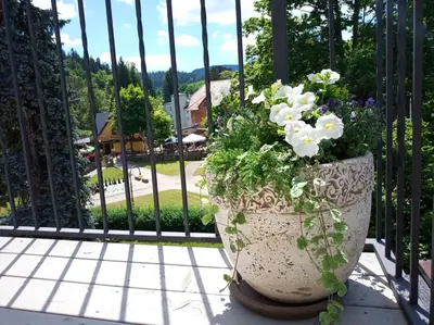 Ogród w obiekcie Dolce