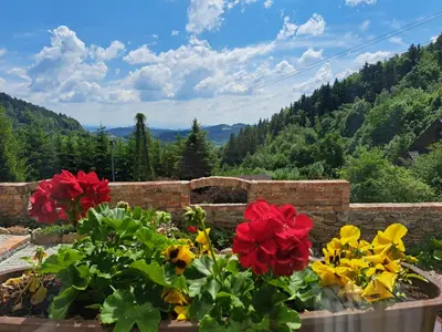 Widok na góry z of this country house