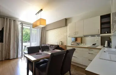 Kuchnia lub aneks kuchenny w obiekcie Apartament Bluszcz
