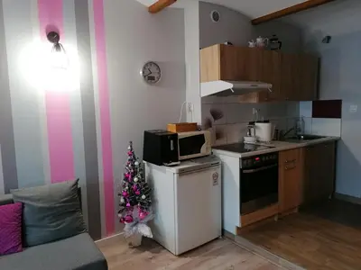 Kuchnia lub aneks kuchenny w obiekcie Apartament Grosik