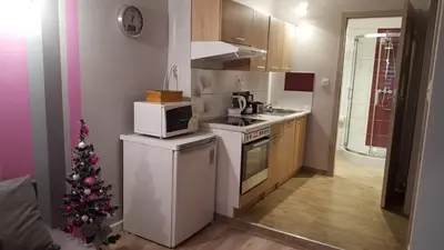 Kuchnia lub aneks kuchenny w obiekcie Apartament Grosik