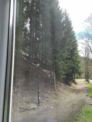 Przyroda w pobliżu tej kwatery prywatnej