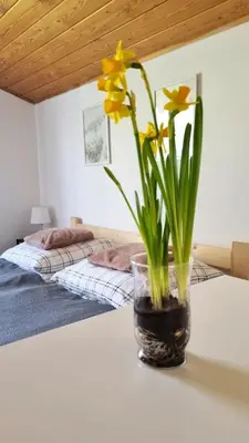 Łóżko lub łóżka w pokoju w obiekcie Dach Pod Sową