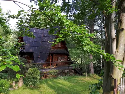 Ogród w obiekcie 'chata usÓwek'
