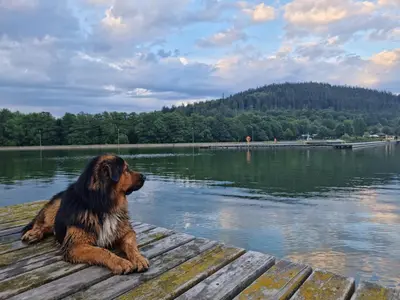 Przyroda w pobliżu tego apartamentu