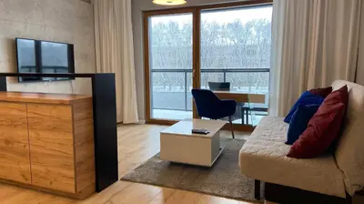 Telewizja i/lub zestaw kina domowego w obiekcie Apartament studio z widokiem na Odrę Bulwary Książęce