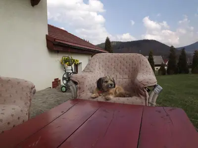 Widok na góry z tego apartamentu