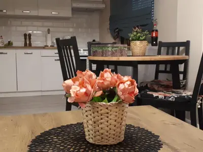 Kuchnia lub aneks kuchenny w obiekcie Apartament Natalia