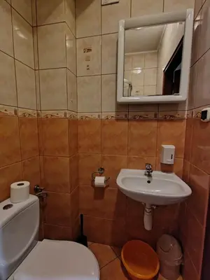 Łazienka w obiekcie Jaskółka