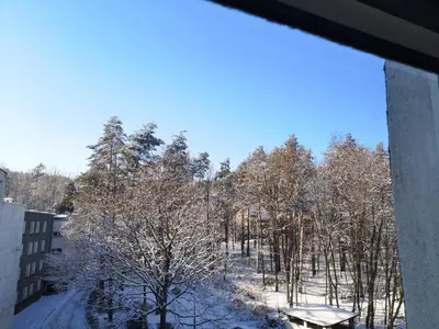 Obiekt Apartament Zielony Zdrój zimą