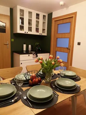Kuchnia lub aneks kuchenny w obiekcie Apartament Zielony Zdrój