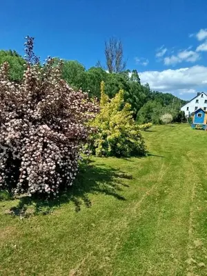 Ogród w obiekcie PRZYSTAŃ NAD BOBREM z Balią i Sauną