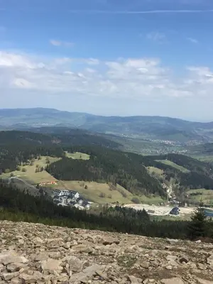 Przyroda w pobliżu tego apartamentu