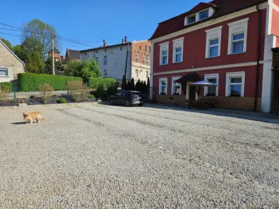 Zwierzęta zatrzymujące się w obiekcie Gościniec w Starym Młynie
