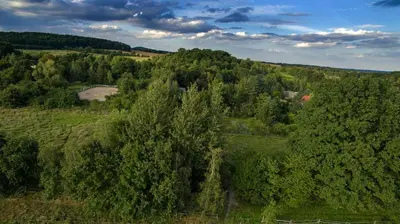Przyroda w pobliżu tego gospodarstwa agroturystycznego