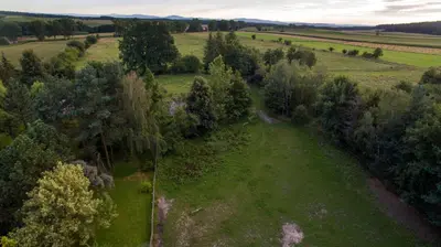 Przyroda w pobliżu tego gospodarstwa agroturystycznego