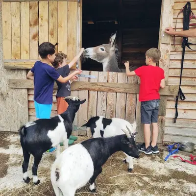 Dzieci zatrzymujące się w obiekcie Agroturystyka Nad Łąkami