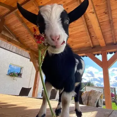 Agroturystyka Nad Łąkami