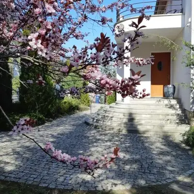 Marel-Apartamenty w Parku- Rydz Polanica Zdrój
