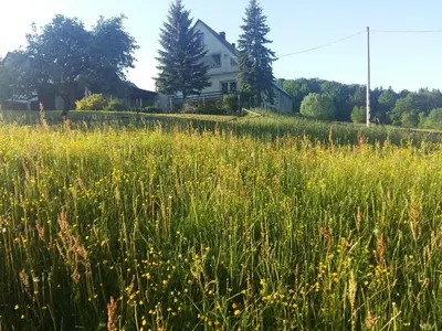 Przyroda w pobliżu tego gospodarstwa agroturystycznego