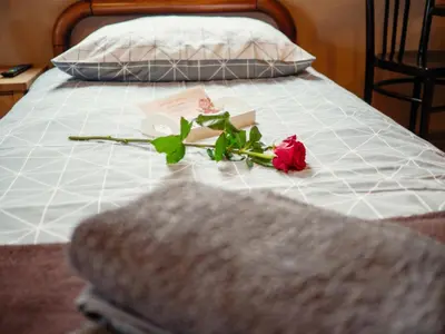 Łóżko lub łóżka w pokoju w obiekcie Różany Dworek