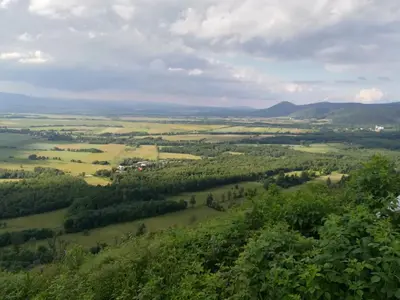 Przyroda w pobliżu tego gospodarstwa agroturystycznego
