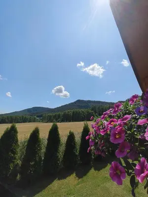 Przyroda w pobliżu tego domu w stylu alpejskim