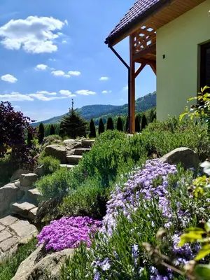 Widok na góry z tego domu w stylu alpejskim