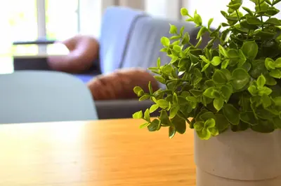 Część wypoczynkowa w obiekcie Apartamenty Polanica Zdrój