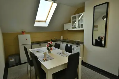Kuchnia lub aneks kuchenny w obiekcie Apartamenty Akacjowa Villa106