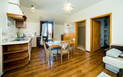 Kuchnia lub aneks kuchenny w obiekcie Apartamenty Romanowka
