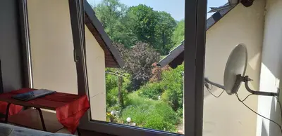 Ogród w obiekcie Apasjonata