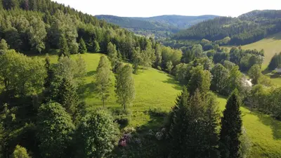Przyroda w pobliżu tego domu wakacyjnego