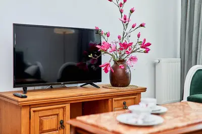 Telewizja i/lub zestaw kina domowego w obiekcie Vintage Apartment in New Estate with PARKING - Krzyki Wrocław by Noclegi Renters