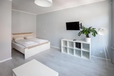 Łóżko lub łóżka w pokoju w obiekcie Silver Vision Apartment - Rynek
