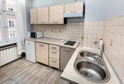 Kuchnia lub aneks kuchenny w obiekcie Silver Vision Apartment - Rynek
