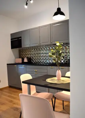 Kuchnia lub aneks kuchenny w obiekcie Apartament przy Parku