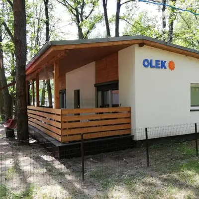 OLEK