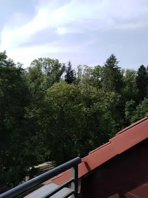 Przyroda w pobliżu tego apartamentu