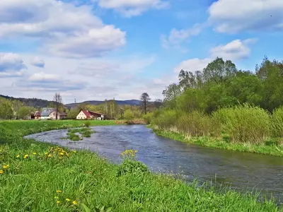 Przyroda w pobliżu tego apartamentu
