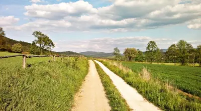 Przyroda w pobliżu tego apartamentu