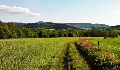 Przyroda w pobliżu tego apartamentu