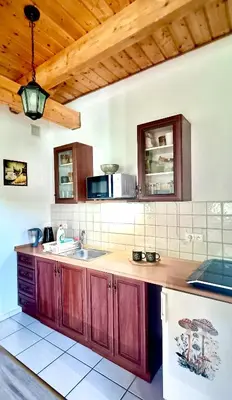 Kuchnia lub aneks kuchenny w obiekcie Siedlisko Czarny Kot