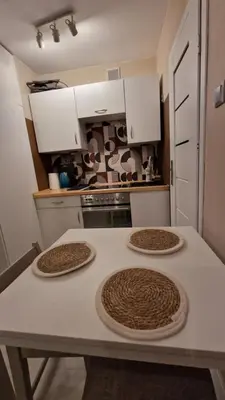 Kuchnia lub aneks kuchenny w obiekcie Apartament Poselska