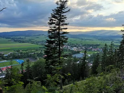 Przyroda w pobliżu tego apartamentu