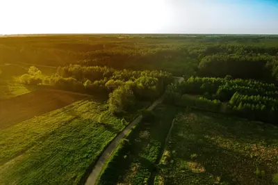 Przyroda w pobliżu of this country house