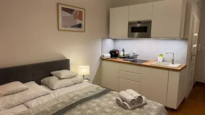 Kuchnia lub aneks kuchenny w obiekcie VULTOR Apartments