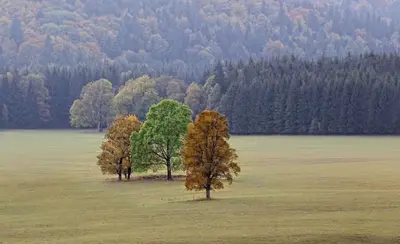 Przyroda w pobliżu tego obiektu B&B