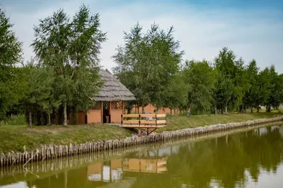Przyroda w pobliżu tej willi