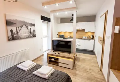 Telewizja i/lub zestaw kina domowego w obiekcie Tymon Apartament przy deptaku